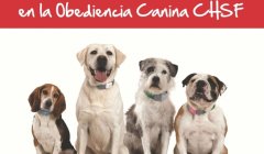 20154.04.28 curso obediencia canina